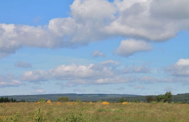 Scenic Villa Near Lake View - Photo 51