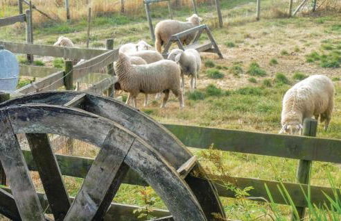 2 Bedroom Nice Home In Schlitz-Rimbach - Foto 20