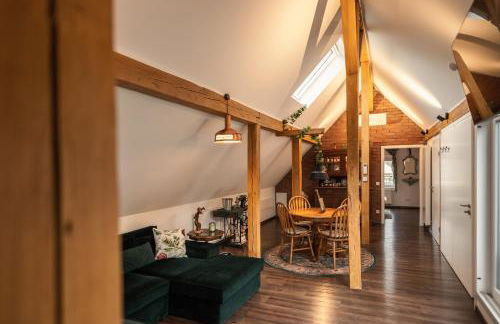 Pine Cone Loft on Baden-Baden's Panorama Trail - Foto 17