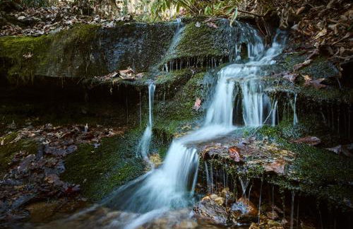 Romantic Penrose Cabin with Pond, Trails and Hot Tub - Foto 26