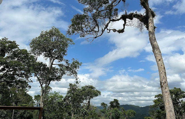 Recanto dos Pássaros na Serra em Rancho Queimado com Piscina Aquecida - Foto 18