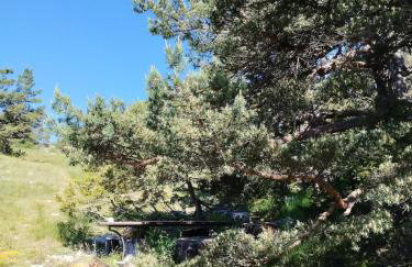 Gréolières les Neiges Studio 4 personnes - Foto 12