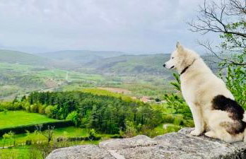 Istrian Escape - Foto 15