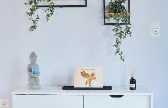 Pegasus' Glory House - Photo 13