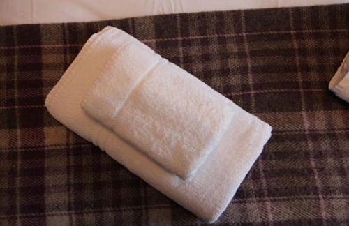 Charming St Davids Cottage with Cathedral Views - Photo 6