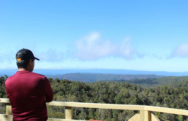 Hiking in Oncol Park - Photo 3