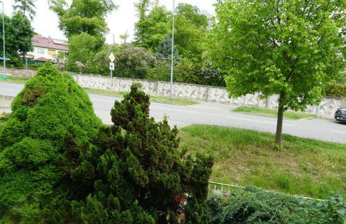 Ferienhaus Dani - Photo 17