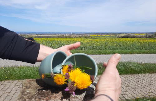 Ostseerauschen - Foto 39