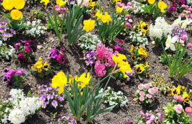 ELApart by Homely Stay - Moderne Apartments direkt im Stadtzentrum mit Self-Check-in - Foto 75