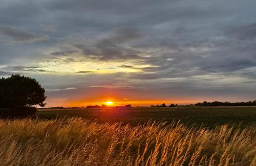 Zoila's Rest - A self-contained studio - Foto 14