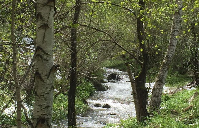 Apartamentos y Bungalows Xixerella Park - Foto 35