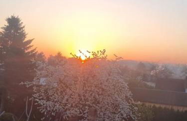 Ferienwohnung *Zur Weinbergstraße* - Foto 15