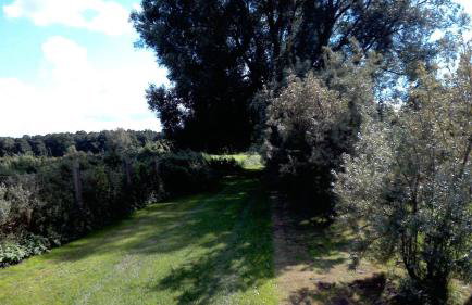 Ferienwohnung Otto - Foto 38