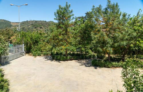 Green Orange Villa near Platanias - Photo 37