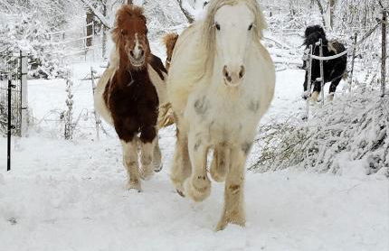 Ferienhaus Kleine Auszeit - Foto 12