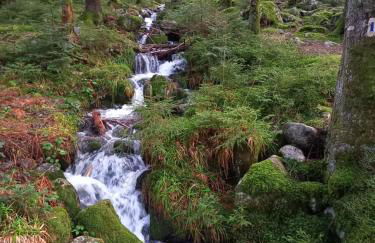 la Marcairie - Foto 39