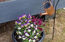 Domki Skitnica - Foto 69