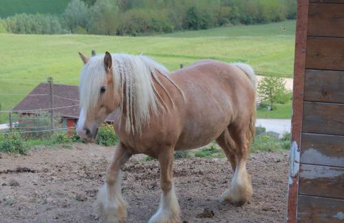 Le Dame Country House, Marche - Foto 13