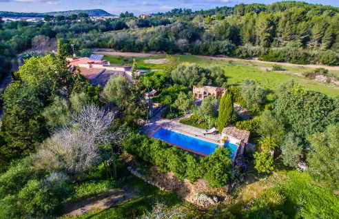 Higo Chumbo - Foto 10