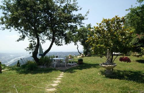 Le Domaine de Gattières - Foto 15