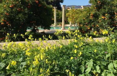 Finca Cas Sant - Foto 36