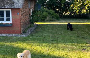 Brunos Haus - Foto 28