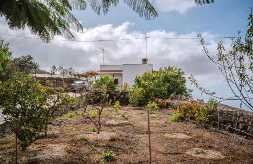 The Lemon Factory - Foto 25