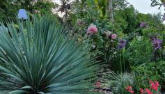 La Folie Hubert - Photo 4, Garden, Garden view