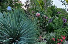 La Folie Hubert - Photo 4