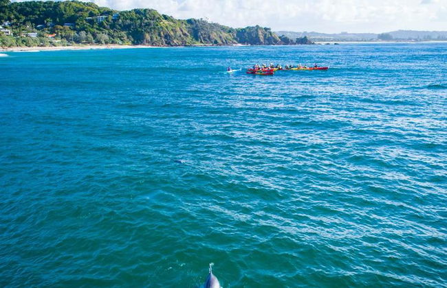 Excursión en kayak por la naturaleza del río Brunswick - Foto 1