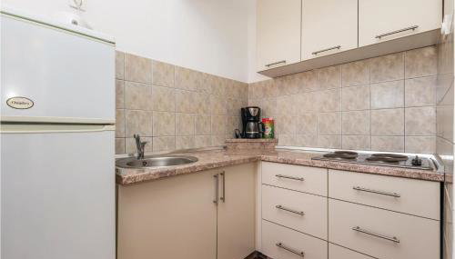 Pet Friendly Apartment In Dinjiska - Foto 3