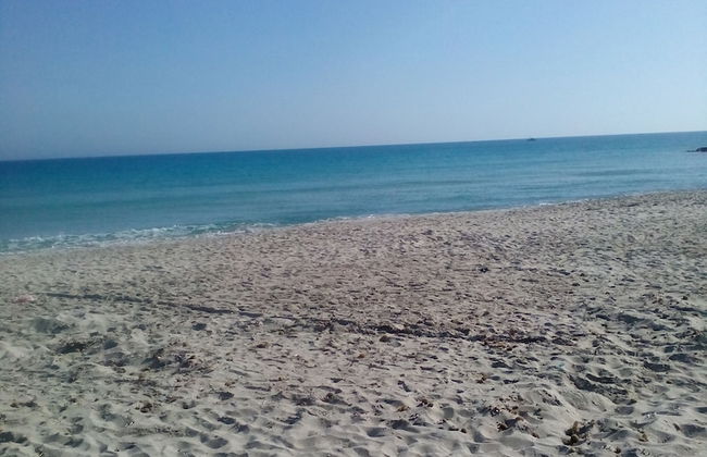 House With Garden Wala - Foto 9