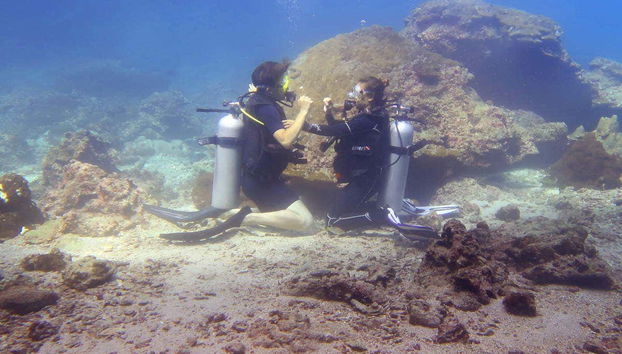 Pareja buceando en aguas de Phi Phi