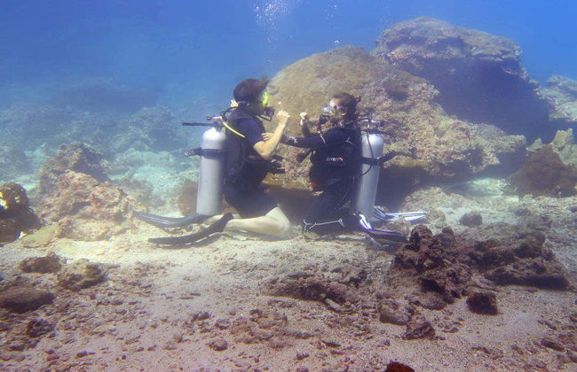 Buceo en el Parque Marino de Phi Phi - Foto 2