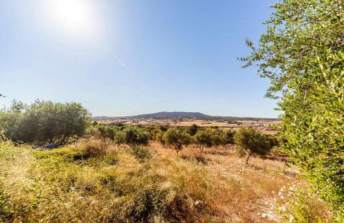 Cases d’Alcudiarrom - Foto 23