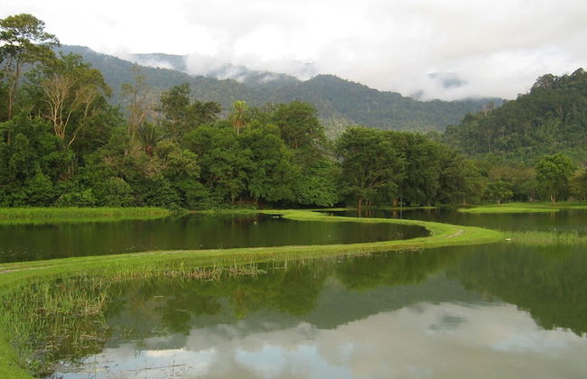 Fahaz Taiping Homestay - Foto 23