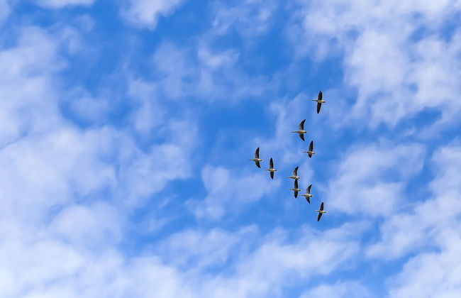 "Stacie" - 10m from the sea - Foto 14