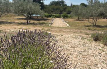 Bastidon Silvestre - Photo 43