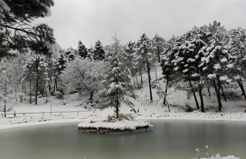 El Rincón de María. - Foto 35