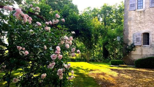 Château d'Esparron - Foto 5, Garden