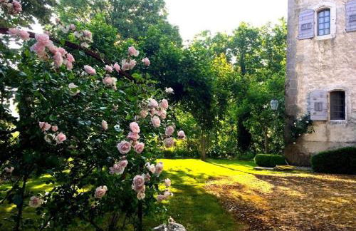 Château d'Esparron - Foto 5