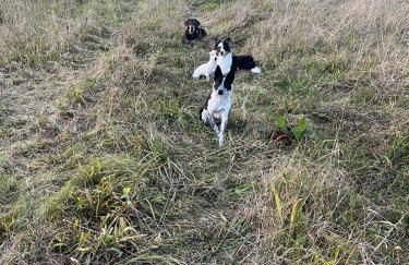 Ferienwohnung auf dem Bauernhof - Hermanns Lodge - Foto 29