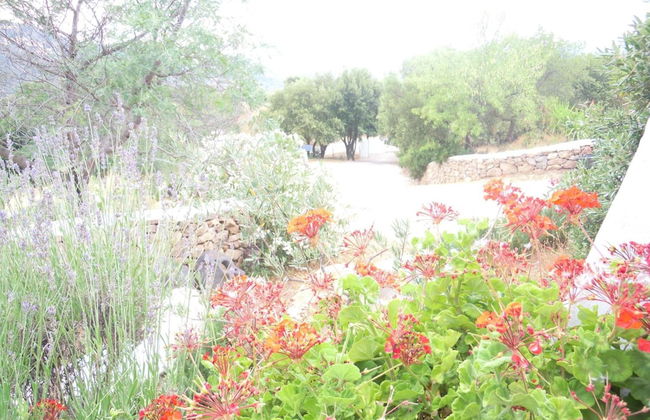 Agriturismo Camisadu - Foto 27