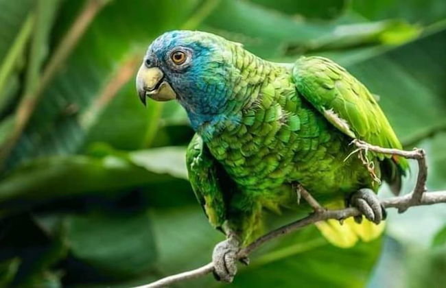 Berkey's Jungle Paradise - Photo 68