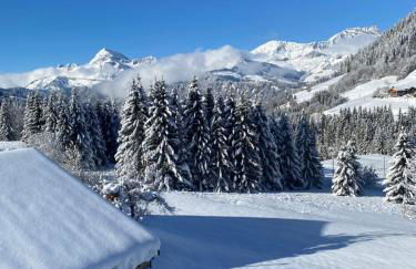 Les Georgières, 300m des pistes du Mont-Rond - Foto 43