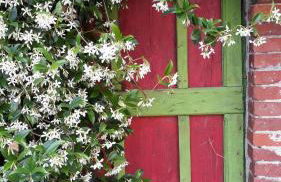 Casale Mansano - Natura e relax nelle colline - Photo 74