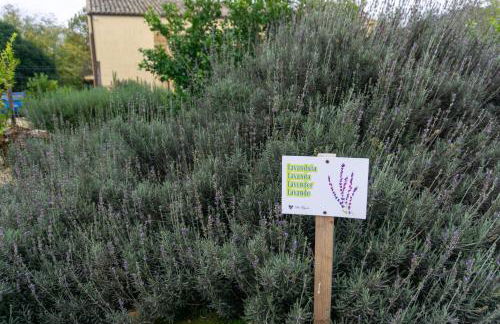 Villa Trigona - Foto 13