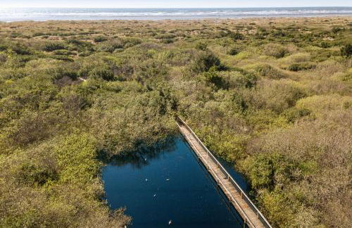 Salty Kisses - Foto 38