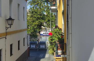 Vive Triana - Foto 1