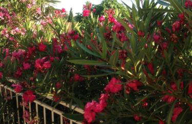 Apartment Jasna B - Foto 28